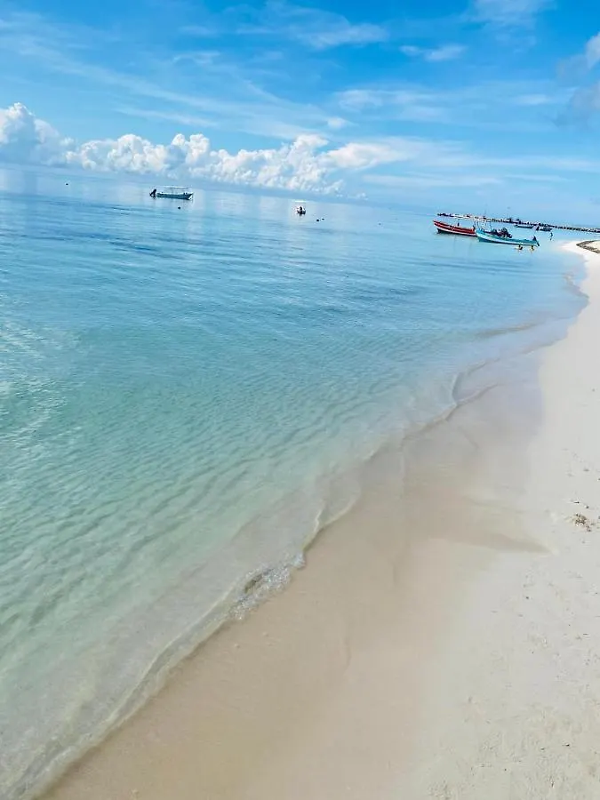 Vila 5 Albercas Sanitizada Exclusiva Privada Playa del Carmen